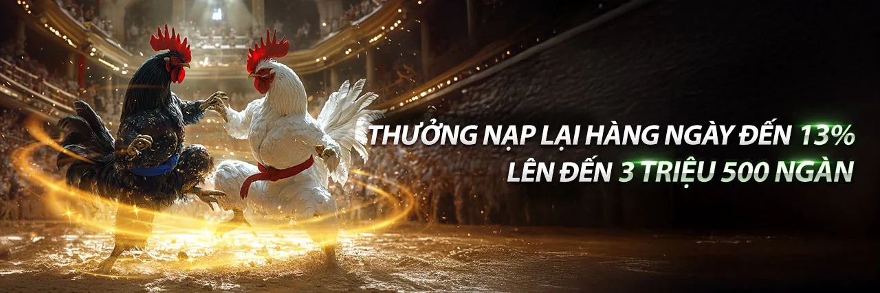 Chương trình VIP bet11 casino
