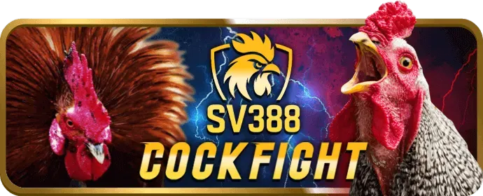 Máy đánh bạc và Trò chơi điện tử Bet11