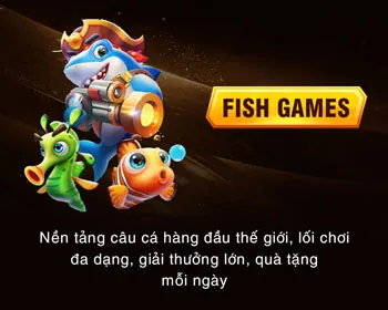 Đặt cược và xem trận đấu